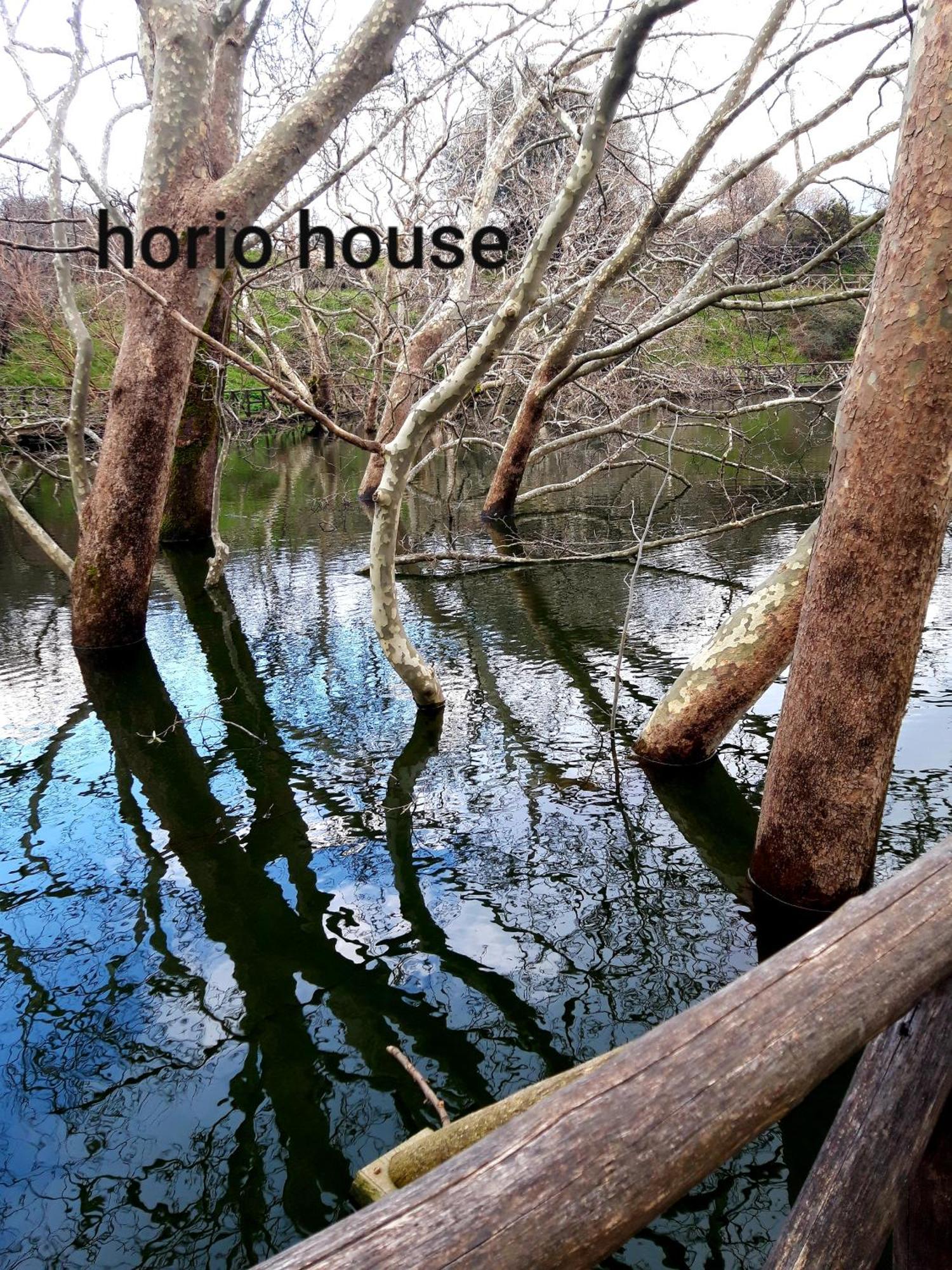Вилла Horio House Limni  Номер фото
